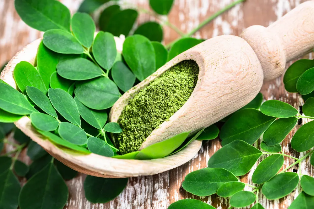  Moringa Leaves – 5 Health Benefits That You Should Know
