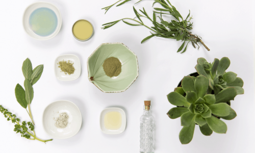  The Magic of Botanical Ingredients in Beauty