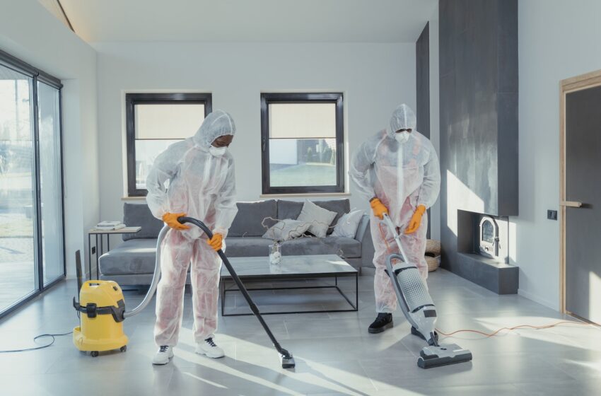  How Professional Carpet Cleaning Services Protect Your Investments￼