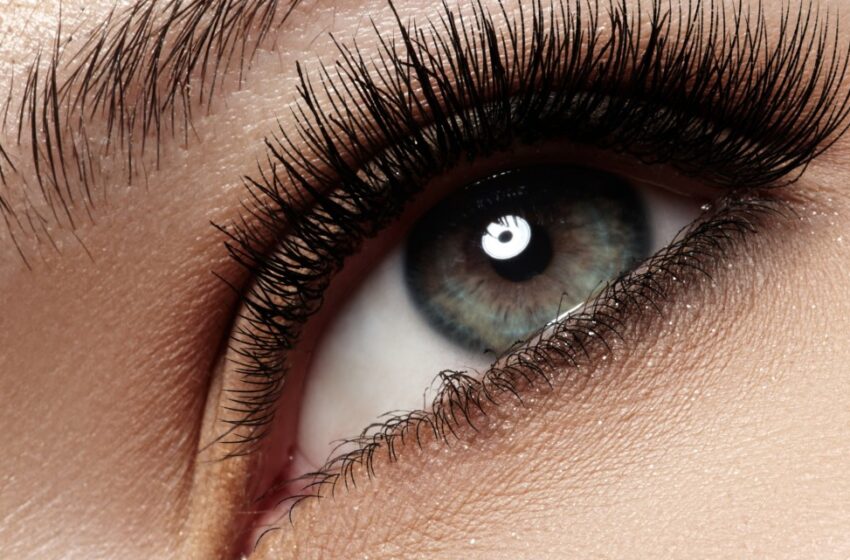 The Best Way to Regrowth Eyelashes After Loss