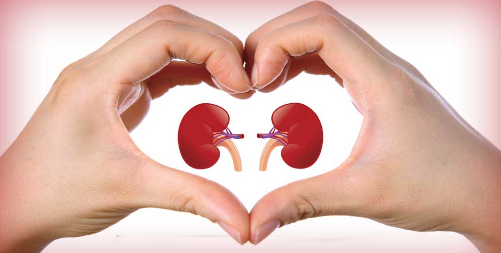 What Is The Latest Treatment For Chronic Kidney Disease?
